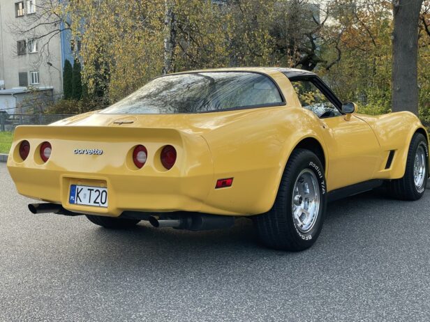 Corvette Stingray (C3) 1981 r.
